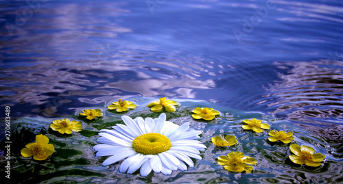 Flowers in water  midsummer night dream.