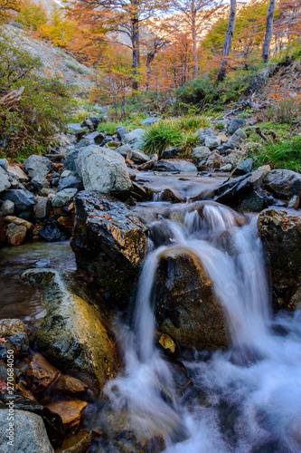 creek in the forest with colorful trees during autumn season