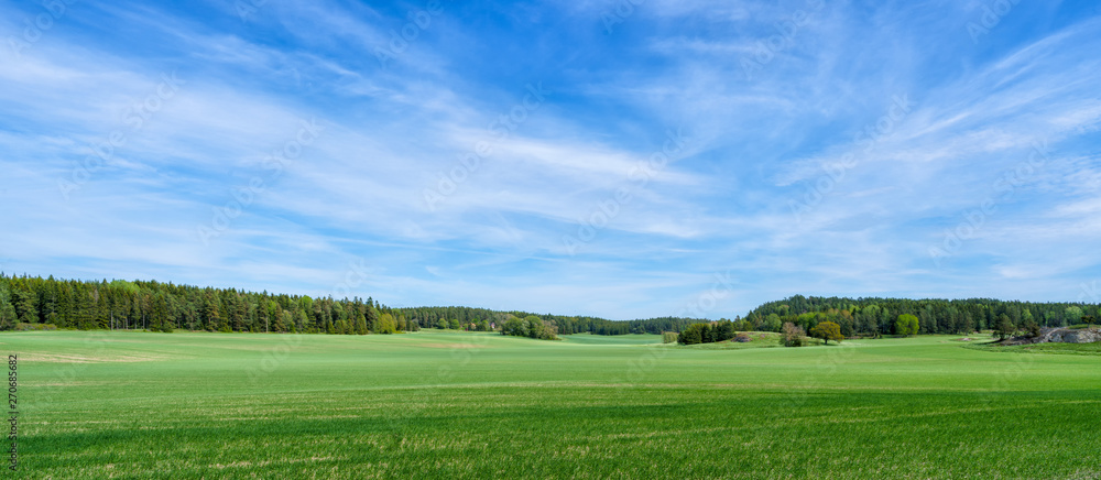 Open landscape near stockholm, sweden Open landscape near stockholm, sweden