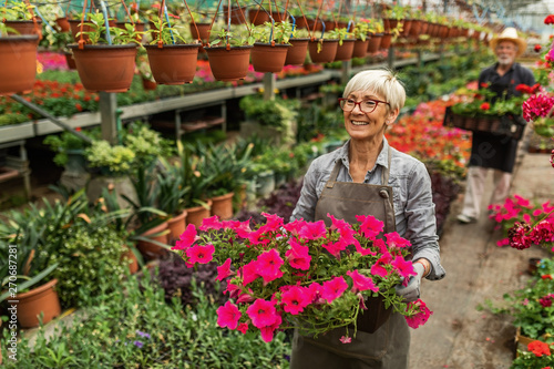 Happy mature woman carrying petunia flowers while working in plant nursery.