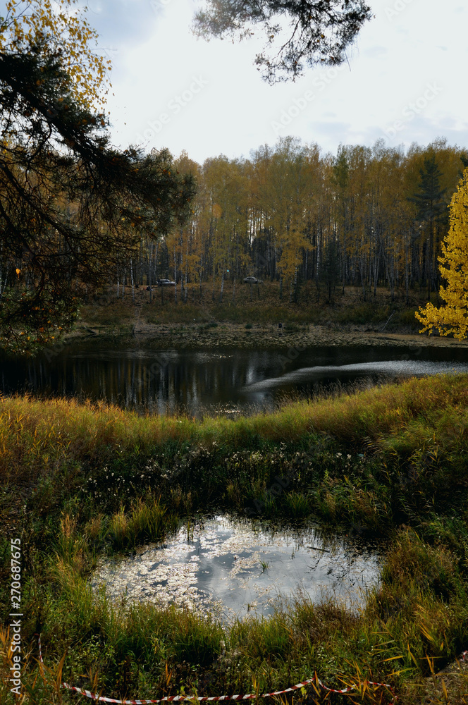 Fototapeta premium lake in autumn forest