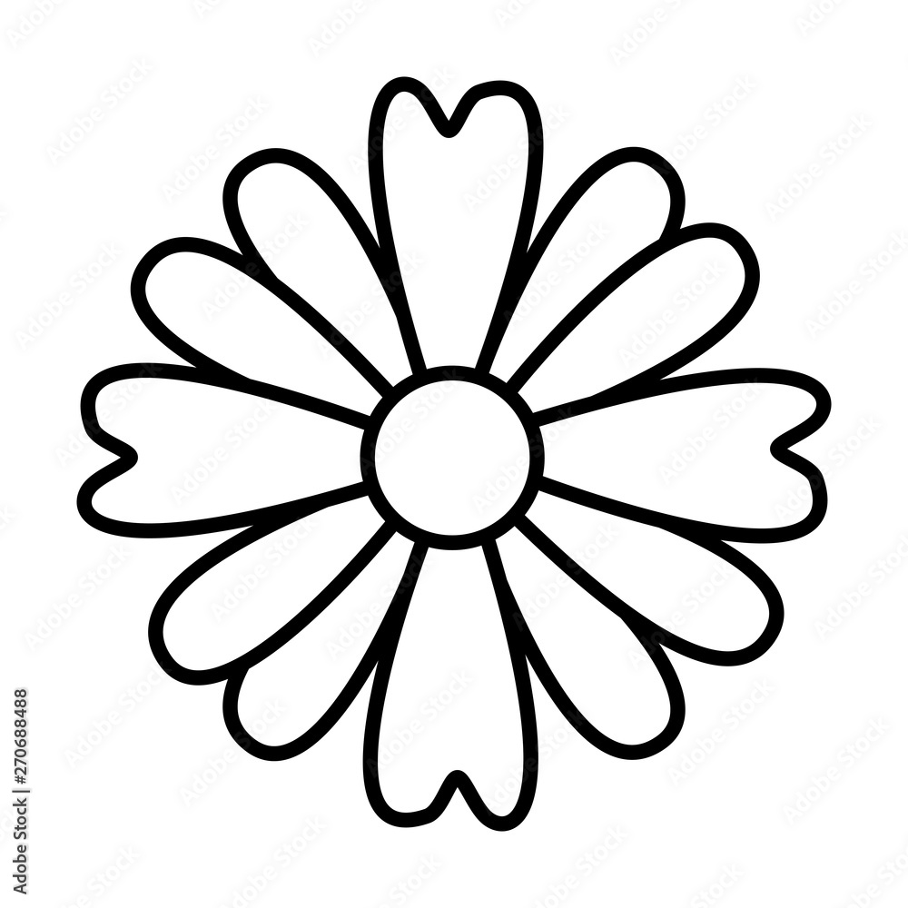 flower nature decoration flower nature decoration