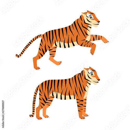 Illustration of wild tiger isolated on white background. Standing and running tiger cartoon style animal vector illustration