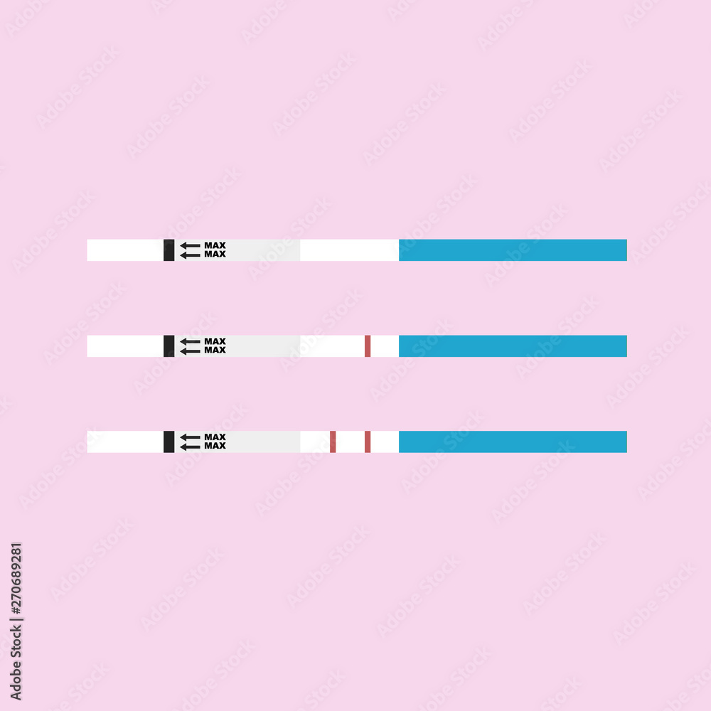 Ovulation or pregnancy test stripes with negative and positive result