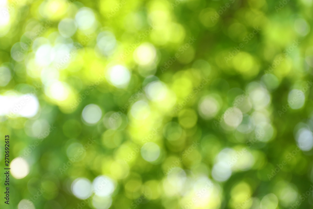 Blurred view of abstract green background. Bokeh effect Blurred view of abstract green background. Bokeh effect