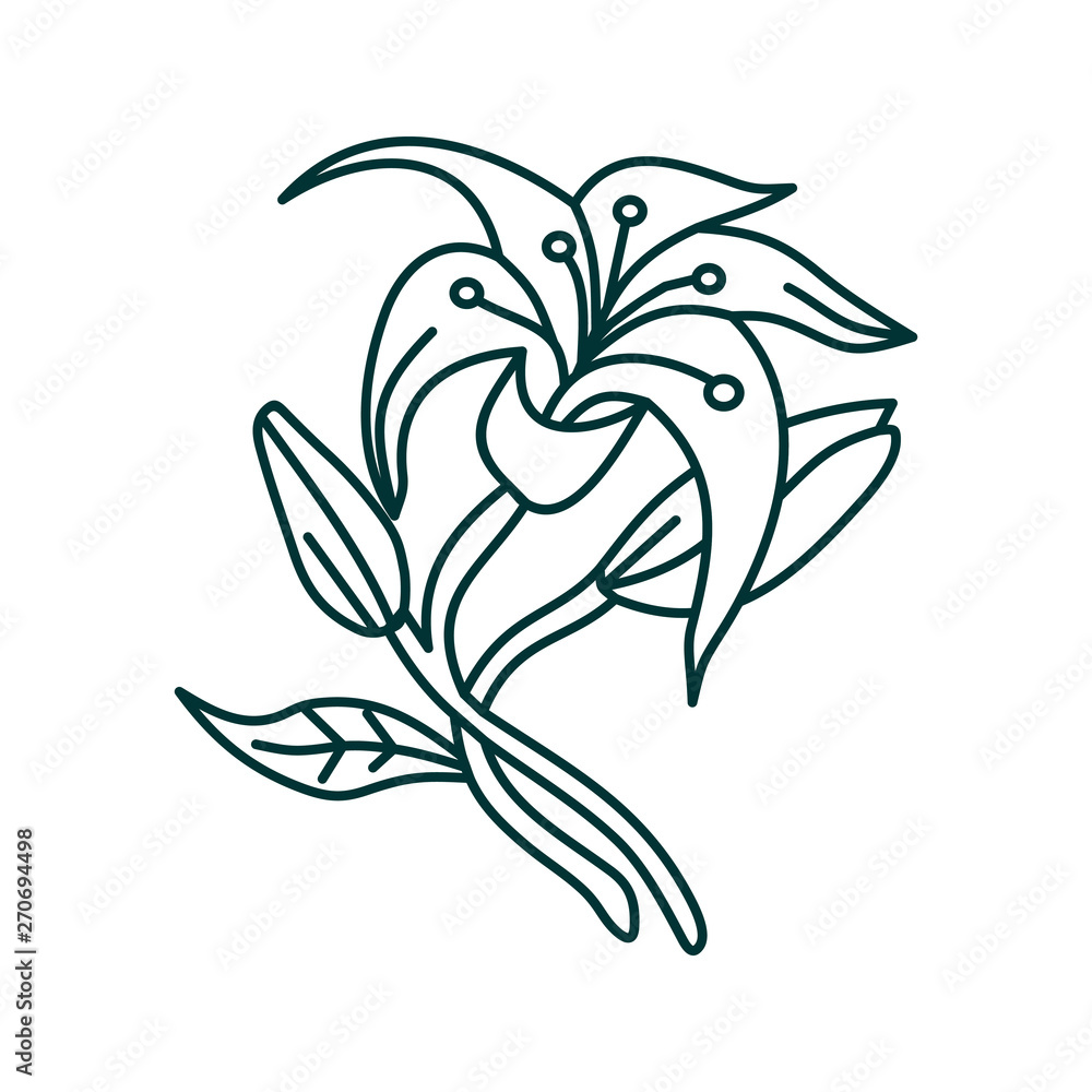 Flower Leaf Illustration Design Template Vector Flower Leaf Illustration Design Template Vector