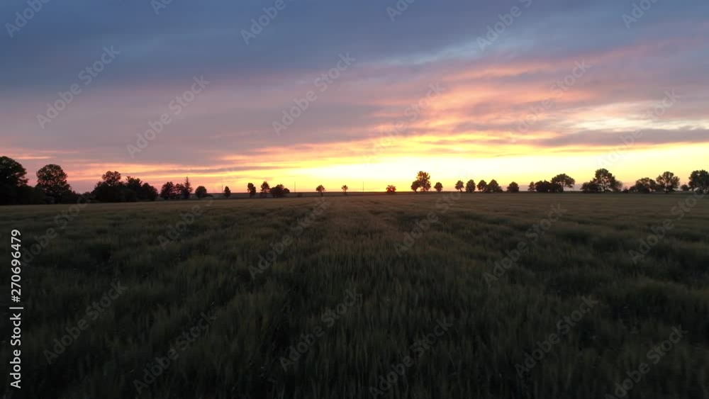 Sunset over farmland, aerial view above green wheat field Sunset over farmland, aerial view above green wheat field