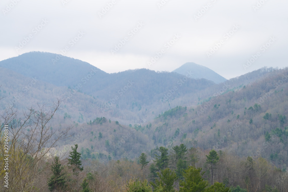 Smoky Mountains near Asheville, North Carolina at Tennessee border with cloudy sky during spring or winter