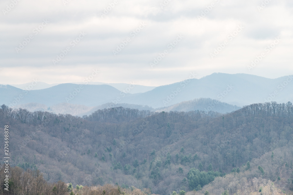 Smoky Mountains forest near Asheville, North Carolina at Tennessee border with cloudy sky during spring or winter