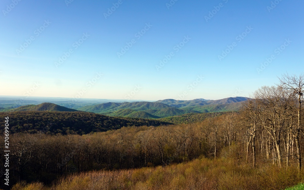 Rolling green mountains under a rich blue sky with bare trees in the foreground and dense forest in the background
