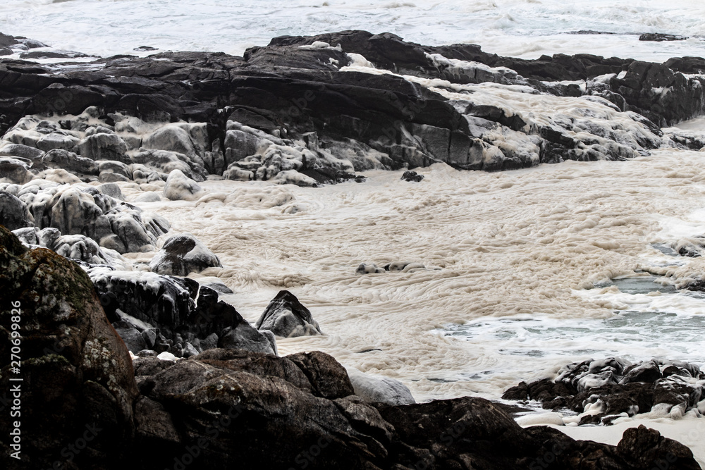 Naklejka premium sea foam