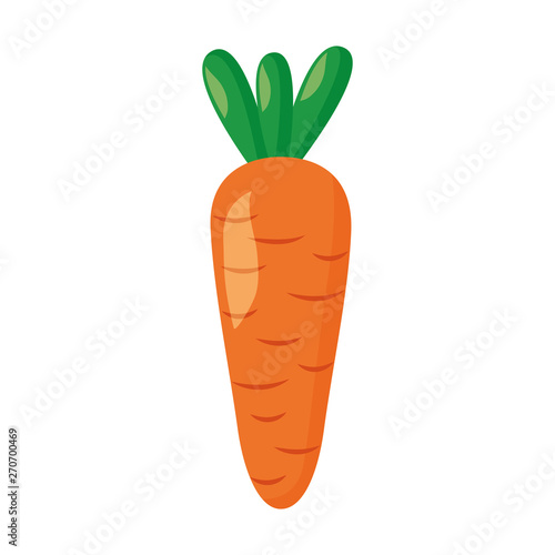 carrot vegetable fresh