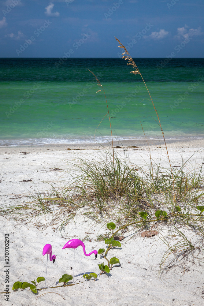 Φωτογραφία Two plastic flamingoes on the white sand of Bradenton Beach