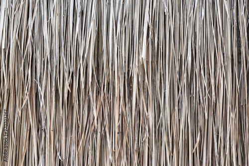 Fototapet Grasses thatch roof background texture, wallpaper
