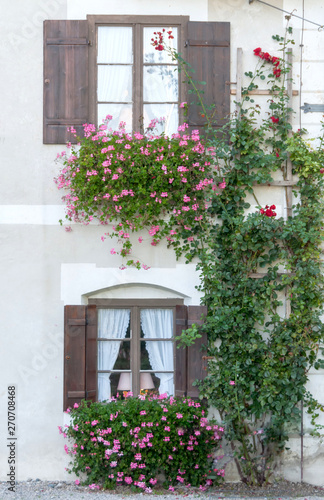 Trailing Geraniums and Climbin Roses on a House