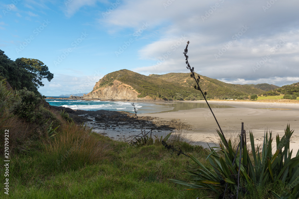 Sandy Matai Bay with cliffs and headland in the background and a silhouetted seed spike of flax in the foreground. Karikari Peninsula, Northland, New Zealand. Sandy Matai Bay with cliffs and headland in the background and a silhouetted seed spike of flax in the foreground. Karikari Peninsula, Northland, New Zealand.