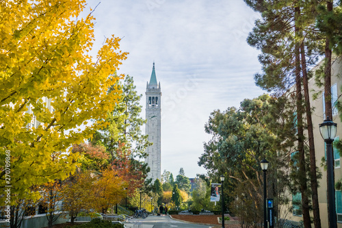 Billede på lærred Autumn colored trees in the UC Berkeley campus; Sather Tower (Campanile) in the