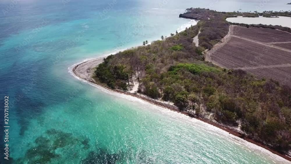 drone aerial over les salines beach table du diable savane des petrifications sainte anne martinique drone aerial over les salines beach table du diable savane des petrifications sainte anne martinique