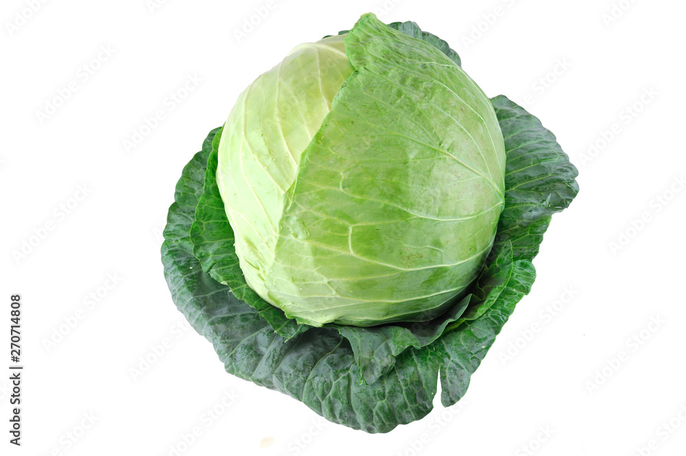close up on fresh cabbage close up on fresh cabbage