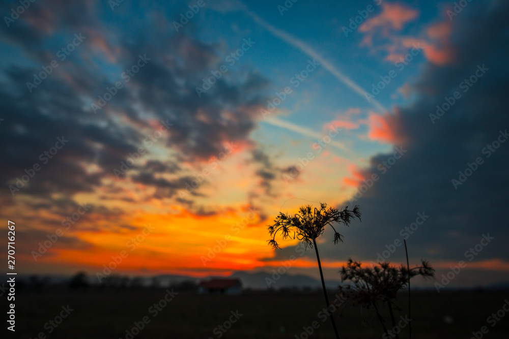 Orange sky landscape at the sunset Orange sky landscape at the sunset
