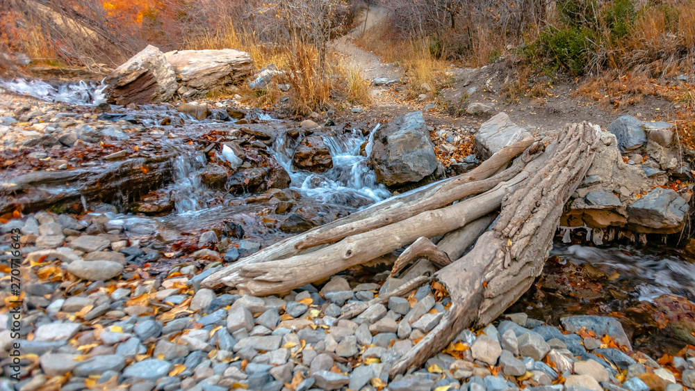 Panorama Bridge made of tree trunk over a rocky creek with shallow flowing water Panorama Bridge made of tree trunk over a rocky creek with shallow flowing water