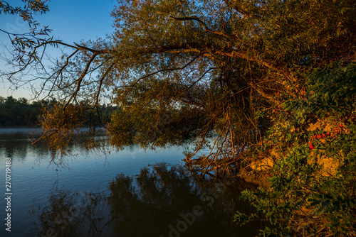 Morning on the river