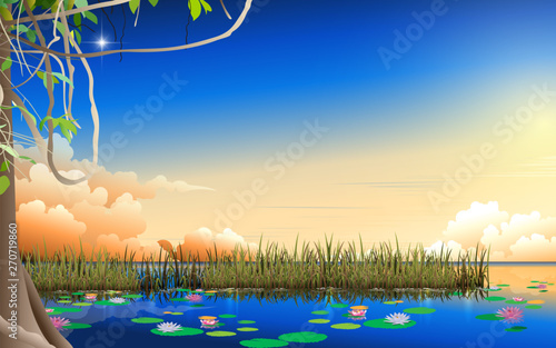 landscape of the swamp with clouds on the sky in sunset