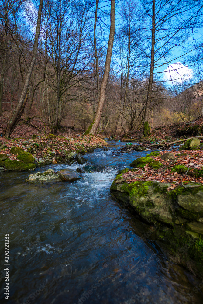 River at the spring in forest River at the spring in forest