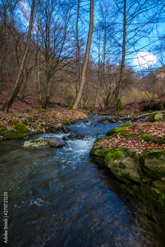 River at the spring in forest