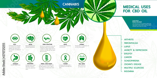 Cannabis with many benefits vector illustration.