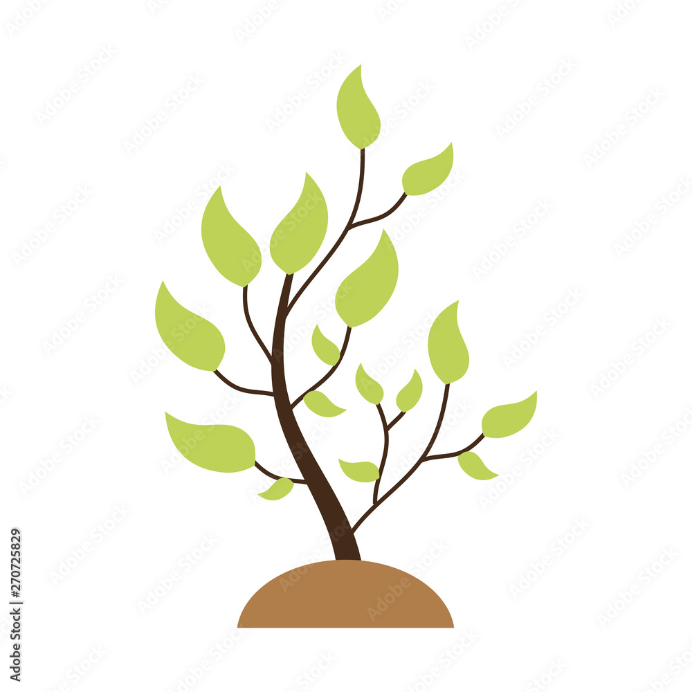 Fototapeta premium branch leaves foliage