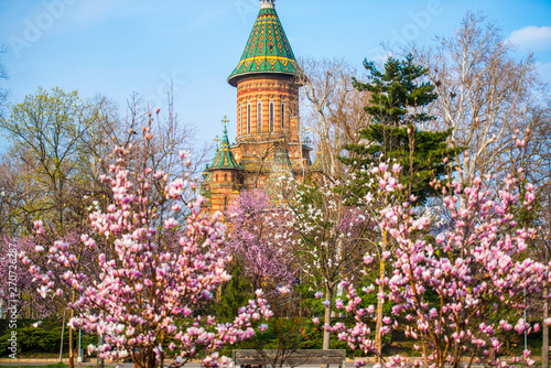 Springtime in Timisoara, Romania