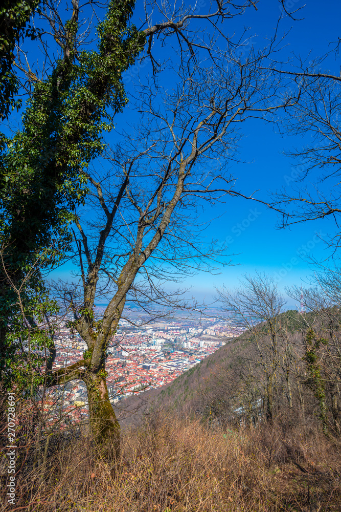 Springtime landscape in the park