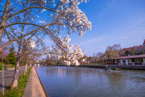Springtime in Timisoara, Romania © somra