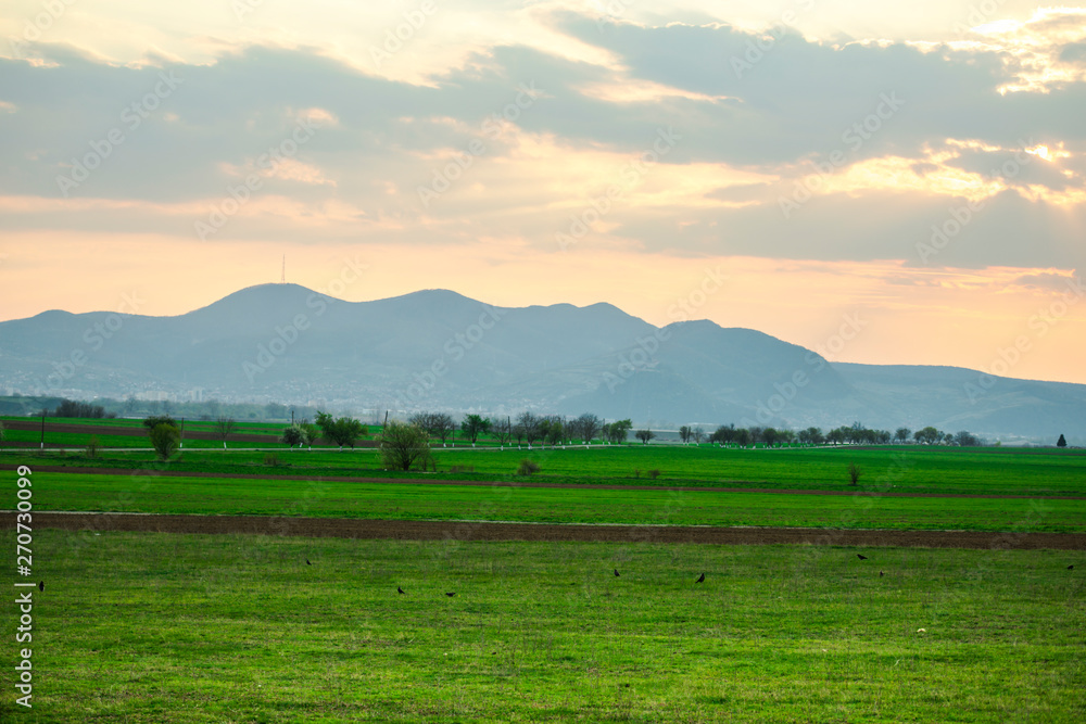 Springtime landscape