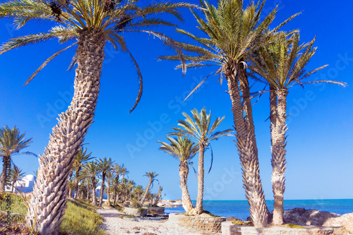 Landscape of the Mediterranean Sea in the Coastal Area of Djerba in Tunisia