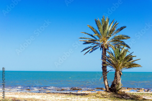View of beautiful beach in Djerba, Tunisia