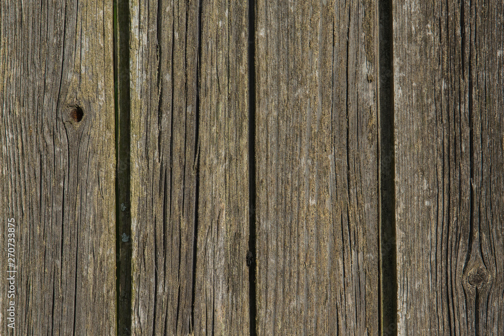 Old wood texture,details wood background. Old wood texture a background