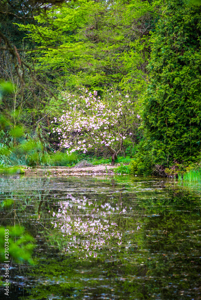 Springtime in the park Springtime in the park