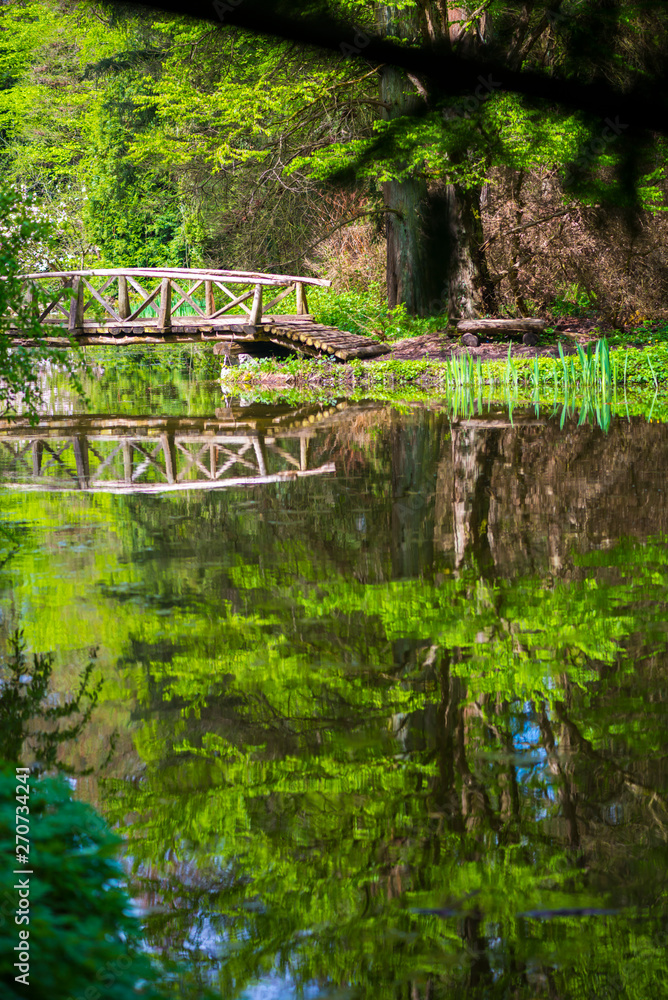 Fototapeta premium Wood bridge in the park