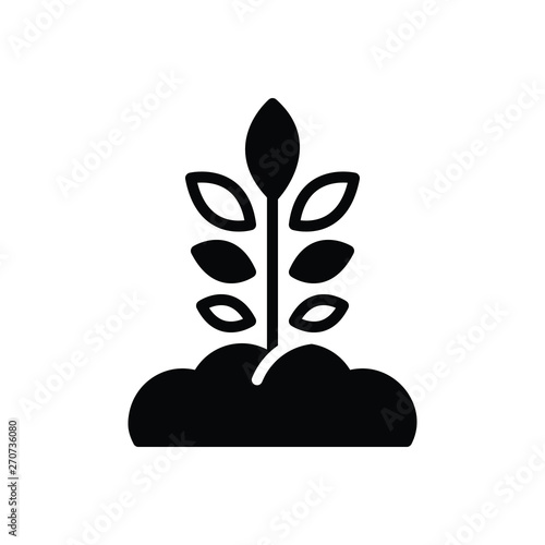Black solid icon for origination grow