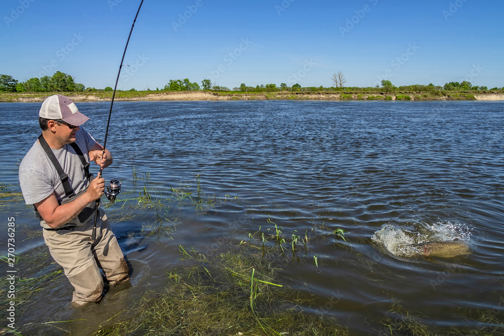 Big pike fishing. Fisherman catch fish in water at river Big pike fishing. Fisherman catch fish in water at river