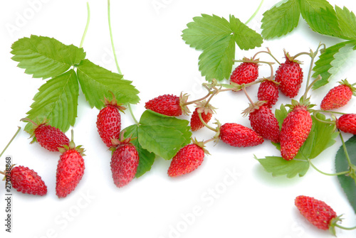 Fresh strawberries from the garden on a white background