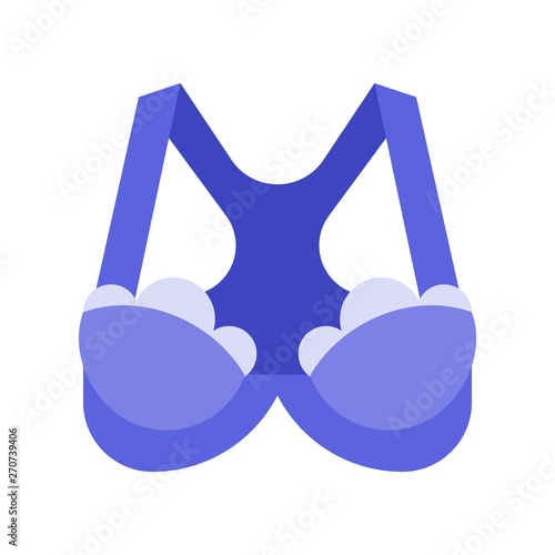 Bra or Brassiere vector illustration, flat style icon