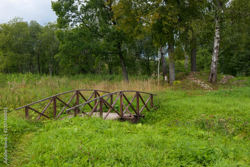 Old bridge over the overgrown stream