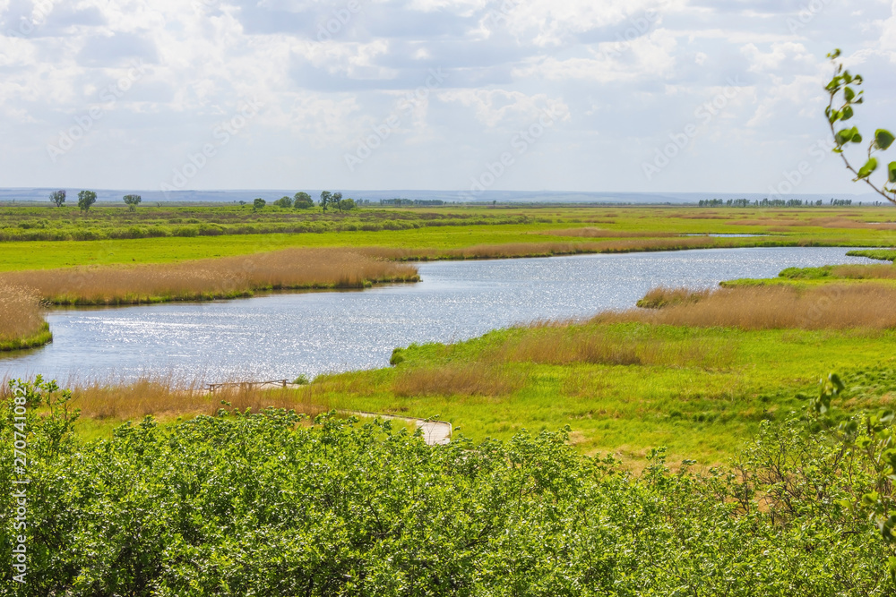 Fototapeta premium Sunny summer day.