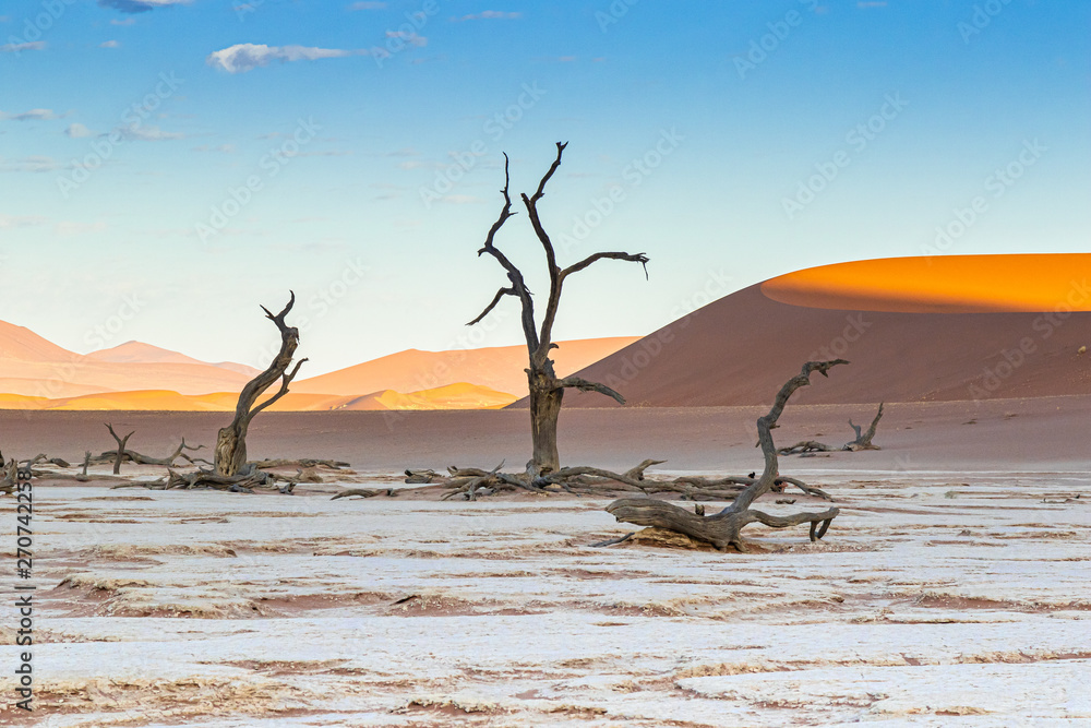 Deadvlei im Namib-Naukluft-Nationalpark, Namibia