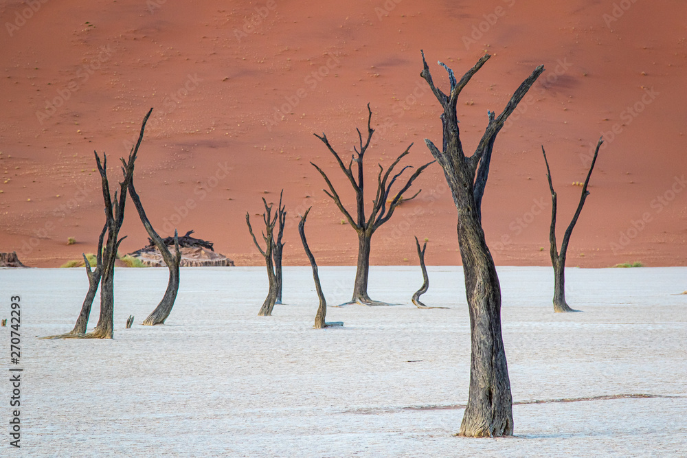 Deadvlei im Namib-Naukluft-Nationalpark, Namibia Deadvlei im Namib-Naukluft-Nationalpark, Namibia