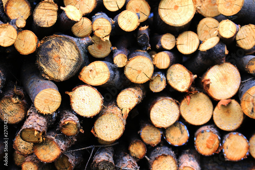 background pile of wood logs