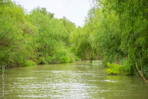 Danube Delta  Romania